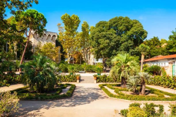 * F3 Haussmannien, Centre-Ville, 4 Pers, Wifi * Montpellier Eksteriør billede